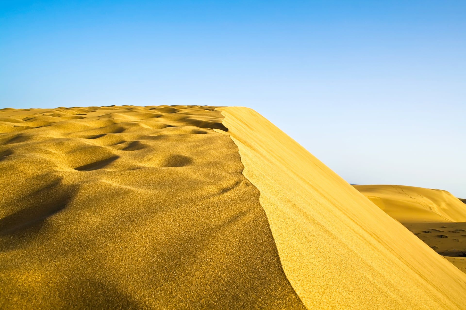 Goldene Sanddünen der Wüste von Maspalomas auf Gran Canaria unter klarem blauem Himmel.