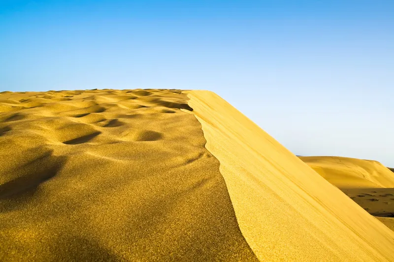 Goldene Sanddünen der Wüste von Maspalomas auf Gran Canaria unter klarem blauem Himmel.